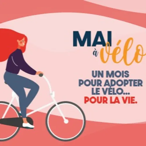 JOURNAL DU VENDREDI 7 MAI ( MIDI )